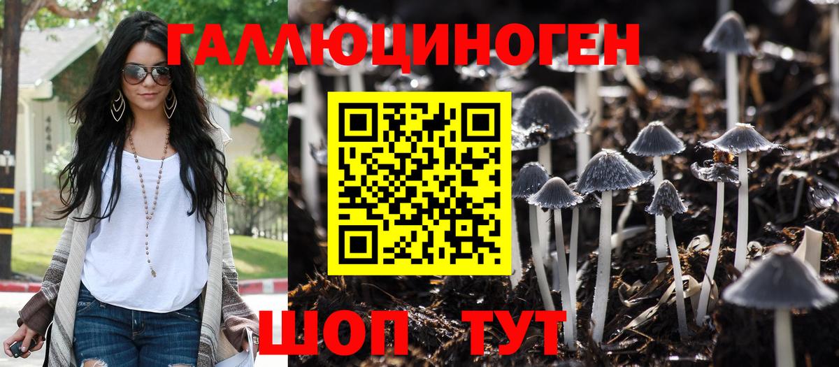Псилоцибиновые грибы ЛСД  Псилоцибиновые грибы ЛСД  Бугуруслан  Вход с VPN 