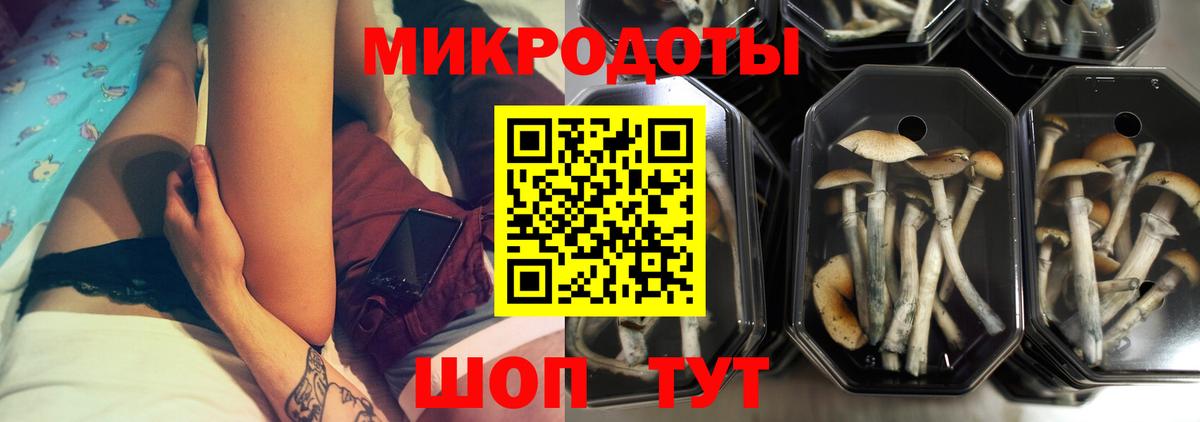 Псилоцибиновые грибы мицелий Бугуруслан